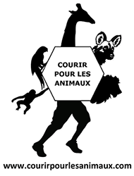 Courir pour les animaux